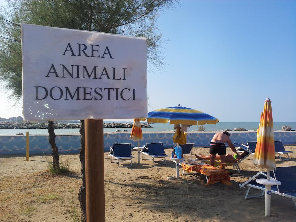 Hotel Paloma Beach Front Chiringuitos Time Rimini Extérieur photo